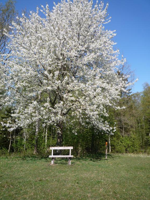 Valle Vandrarhem Axvall Extérieur photo