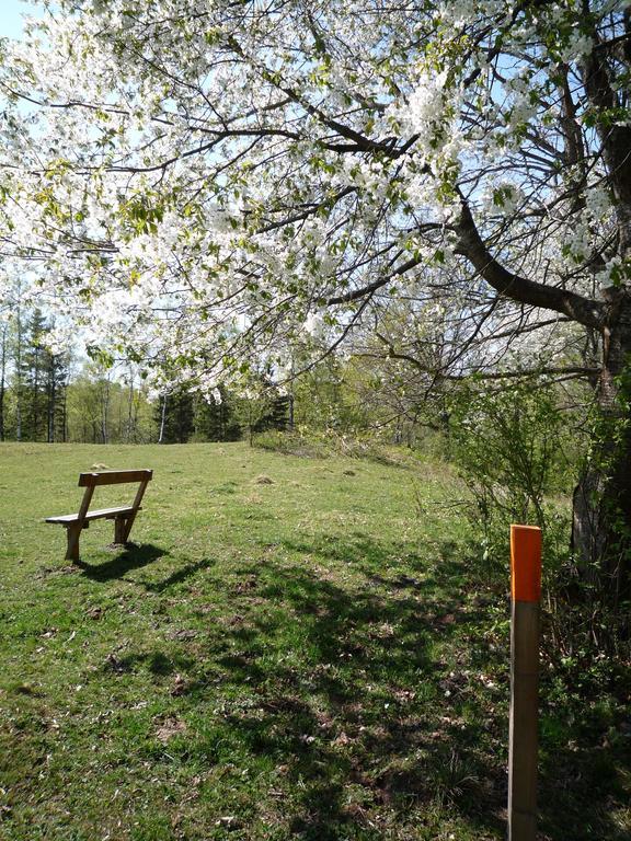 Valle Vandrarhem Axvall Extérieur photo