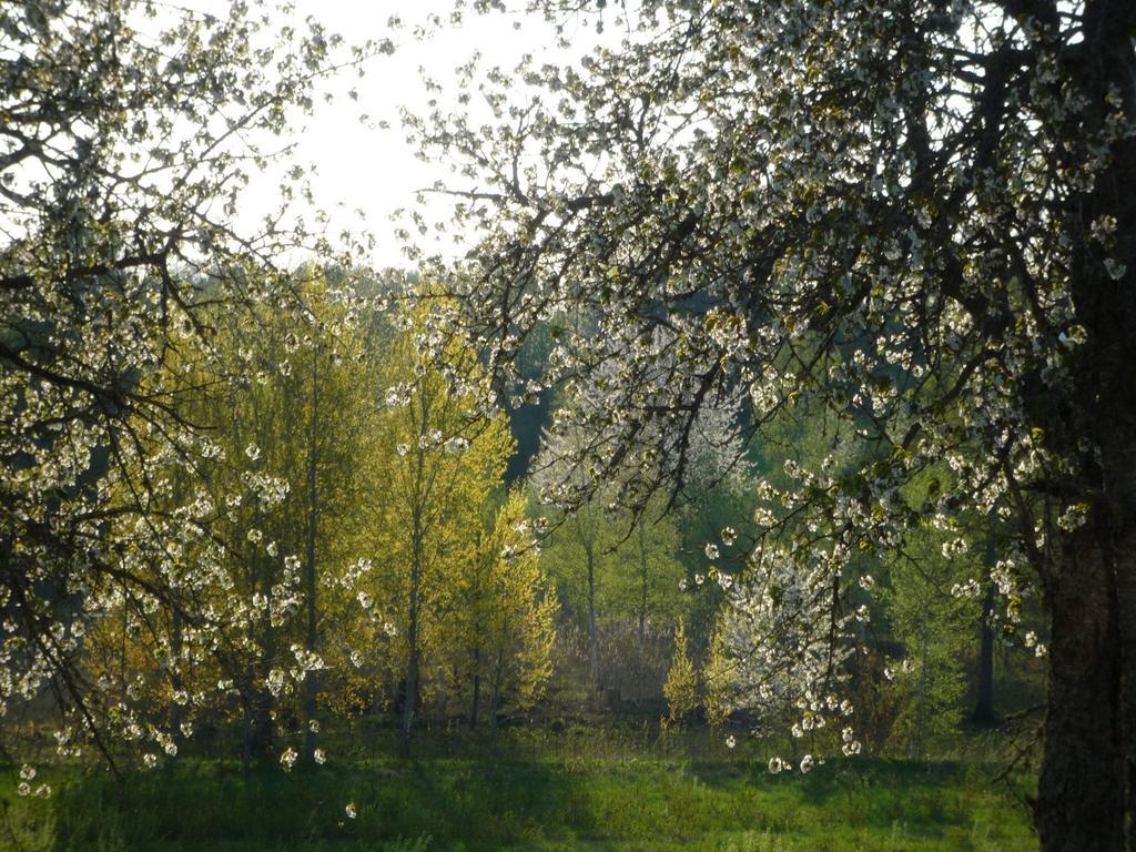 Valle Vandrarhem Axvall Extérieur photo